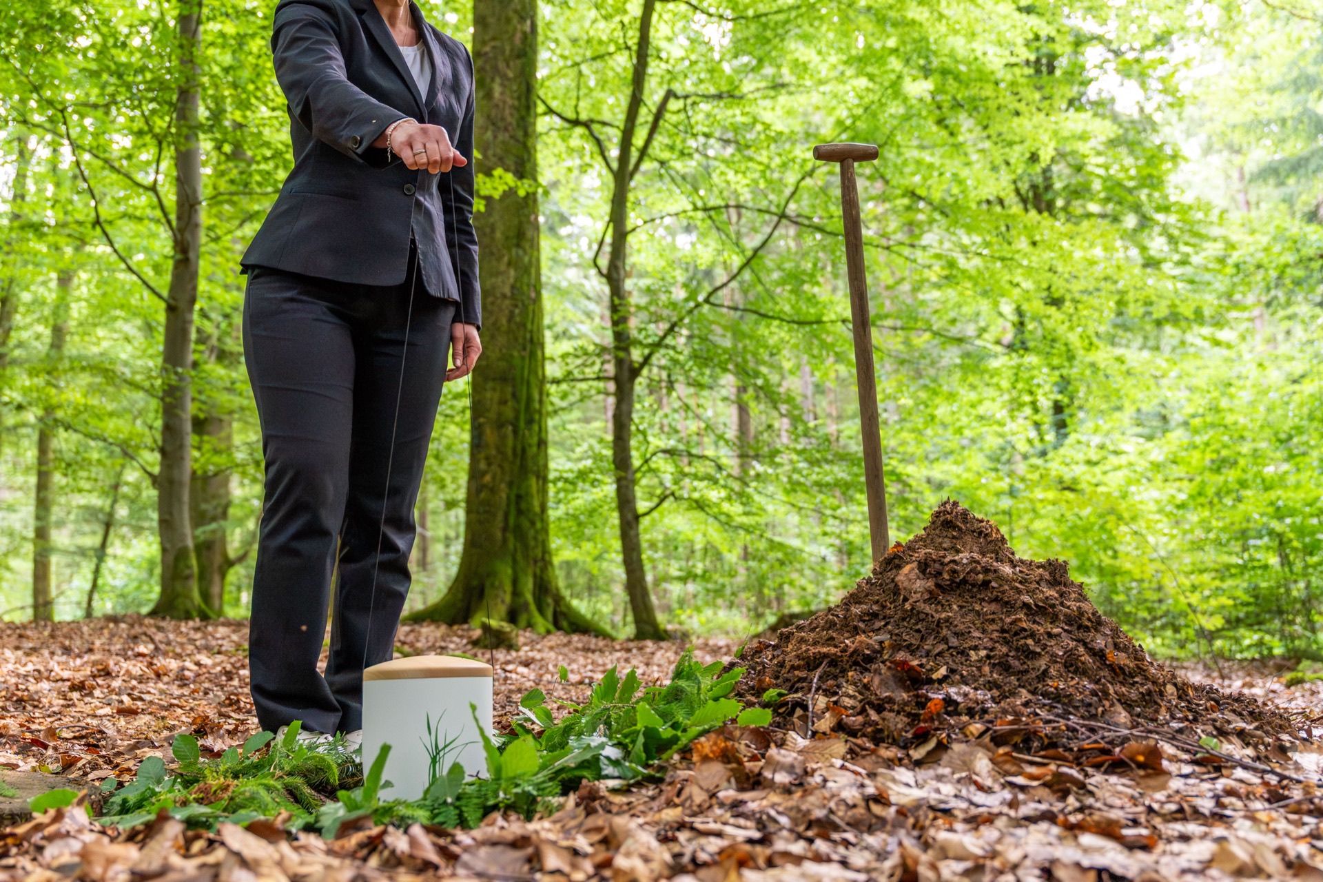 Waldboden im Ruhewald